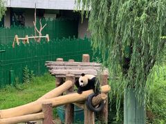 -沈阳森林动物园