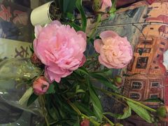iphone_upload_pic-良友书坊(安徽路店)