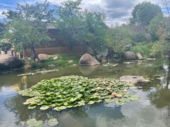-黑龙潭公园