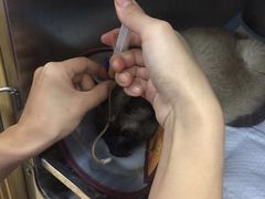 -惠康宠物医院(华能路店)