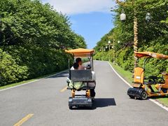-宜兴龙背山森林公园