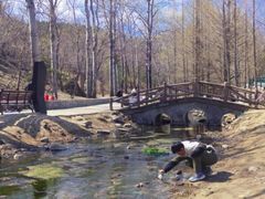 -白水寺森林公园