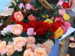 -循礼门鲜花花市(武汉循礼门店)