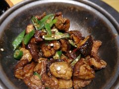 -素虎小呆鸟(西二旗店)