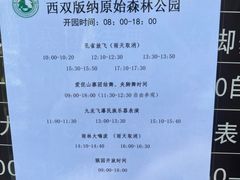 -西双版纳原始森林公园