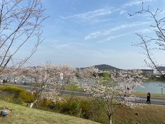 -羊山湖公园