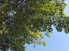 -眉山湿地公园(东坡区)