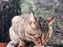 -终南山南五台景区