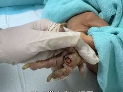 -东莞宠友24H宠物中心医院·转诊夜诊·异宠(新河北路院)