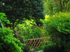 -西湖外事游船(花港观鱼码头)