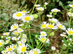 -福建鲤鱼洲酒店