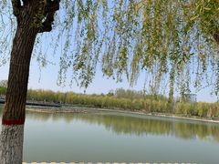 -五环公园