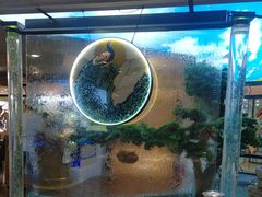 -57度湘(王府井10F店)