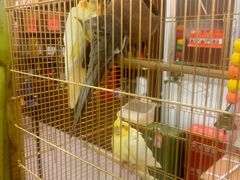 -潇湘·永州会馆(百子湾店)