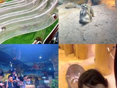 -正佳雨林生态植物园