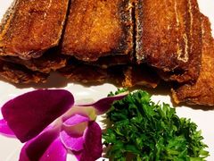 -唐猫庭院·千年陕菜(大唐不夜城店)