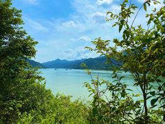 -羚羊峡古栈道森林公园