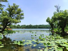 -承德避暑山庄景区