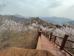 -大岭沟猕猴桃谷风景区