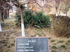 -元大都城垣遗址公园