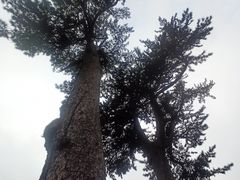 -圣莲山风景区