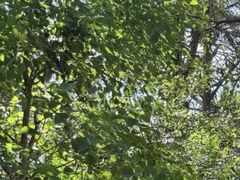 -南京市无想山景区