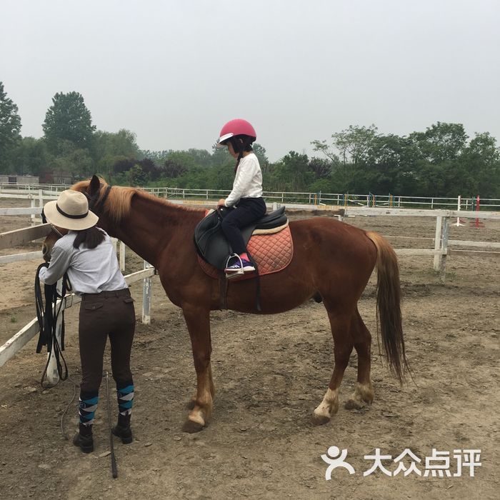 飛翔馬國際馬術俱樂部