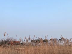 -青岛海泉湾度假区温泉