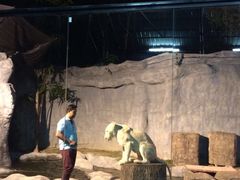 -清迈夜间动物园