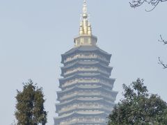 -红梅公园