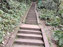 -青城山