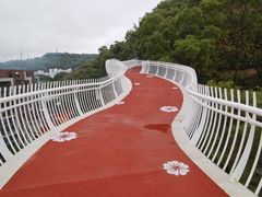 -金鸡山公园