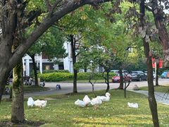 -中国计量大学(西校区)