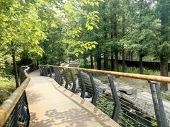 -白水寺森林公园