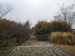-贡湖湾湿地公园