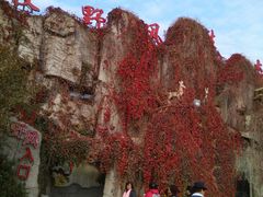 -兴芮温泉度假区