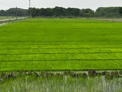 -嘉北郊野公园
