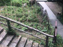 -山沟沟景区