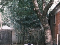 -东信·和创园