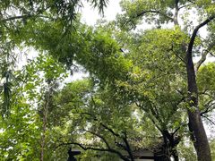 -王家渡火锅(三苏祠店)