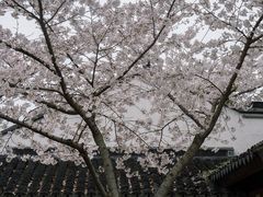 -寒山寺
