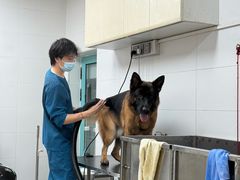 -全心全意动物诊疗中心医院(北苑店)