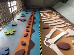 -尽峰攀岩 Acme Climbing