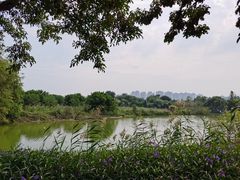 -琅岐红光湖公园