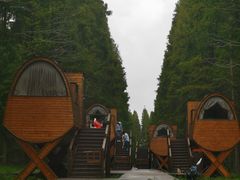 -黄海国家森林公园