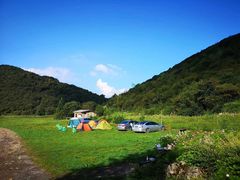 -武陵山森林公园