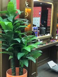 -贝勒爷专业男发