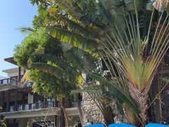 -清水湾旅游度假区
