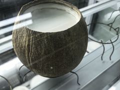 -椰爺爺·椰子冻砵仔糕