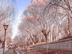 -元大都城垣遗址公园